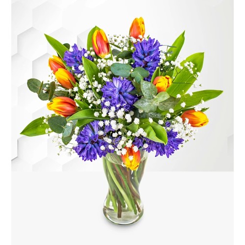 Hyacinth & Tulips (Standard)