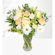 Ivory Harmony (Standard)