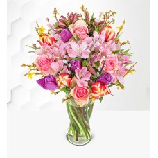 Spring Blush (Standard)