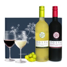 Chilean Wine Duo