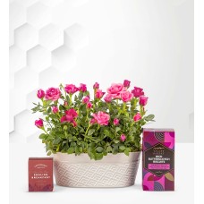 Spring Roses Gift