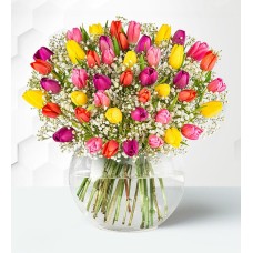Tulip Delight (Large)