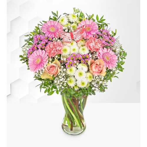 Pastel Meadow (Standard)