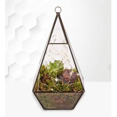 Organic Terrarium Planter