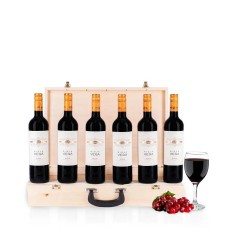 Connoisseur's Wine Case