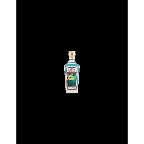 GIN AUX AGRUMES