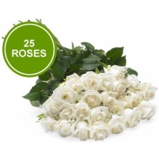 Bouquet 25 Large White Roses