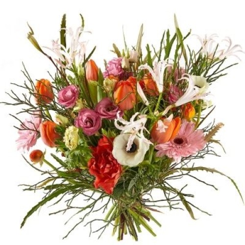 Bouquet 