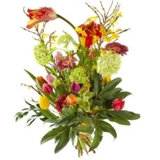 Bouquet Spring Fire (xl)