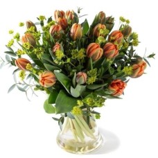 Bouquet "Royal Orange" tulips (20 Tulips + greens)