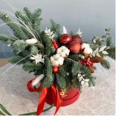 Composition in a Box "Cranberries in Sugar"