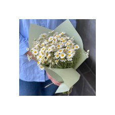 Field Daisies