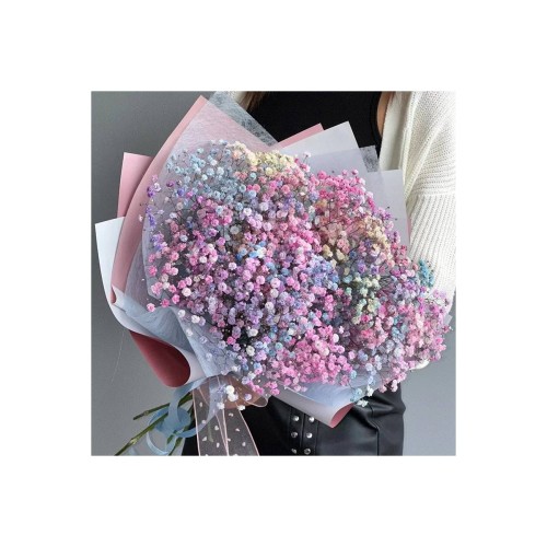 Bouquet of Gypsophila 