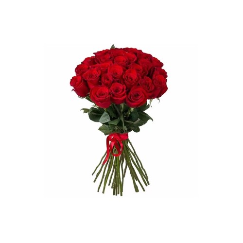 25 Red Roses 60-70 cm