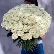 101 White Roses 60-70 cm