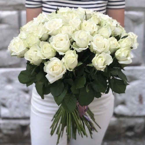 51 White Roses 50-60 cm