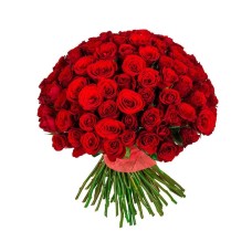 101 Red Roses 30-40 cm