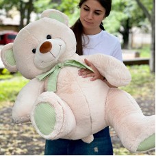 Intelligent Teddy Bear