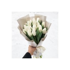 Snow White Tulips