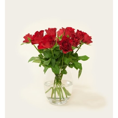 Mailbox Flowers Roses Red