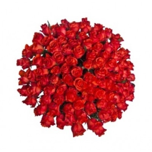 100 Red Roses Bouquet