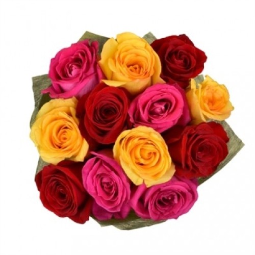 12 Mixed Roses