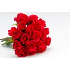 18 Red Roses