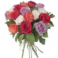 18 Mixed Roses