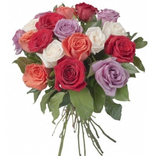 18 Mixed Roses