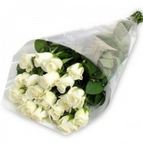 18 White Roses