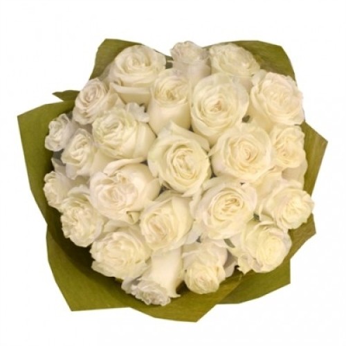24 White Roses