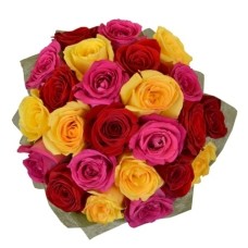24 Mixed Roses