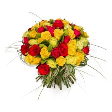 36 Mixed Roses