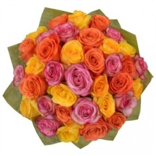36 Mixed Roses