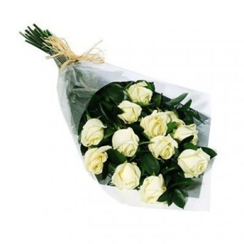 12 White Roses