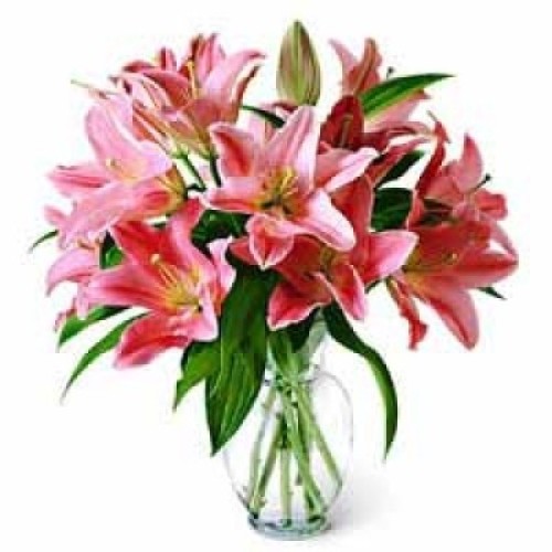 Pink Lilies in Glass Vase