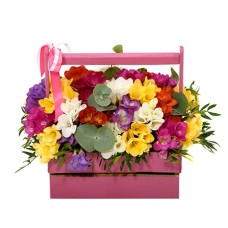 Bouquet of freesia #3