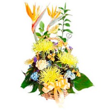 Birthday Surprise Bouquet