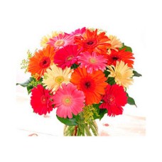 Bright Gerbera Bouquet