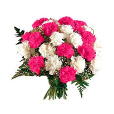 Mixed Carnations