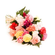 Carnation Bouquet