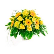 Gerbera Daisies & Chrysanthemums