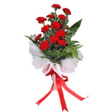 Bouquet of Carnations