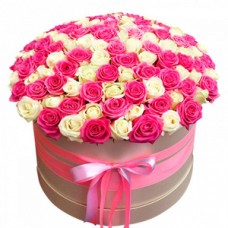 101 roses pink and white in box