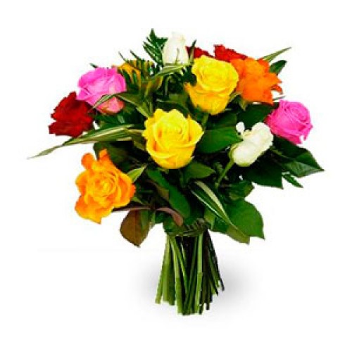 One Dozen Multicolored Roses