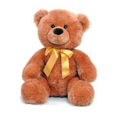 Big Teddy Bear.