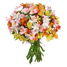 Peruan Lilies Bouquet