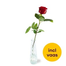 Especially for you | Red rose incl. vase