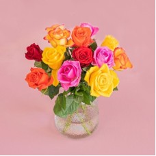 Letterbox Roses mixed