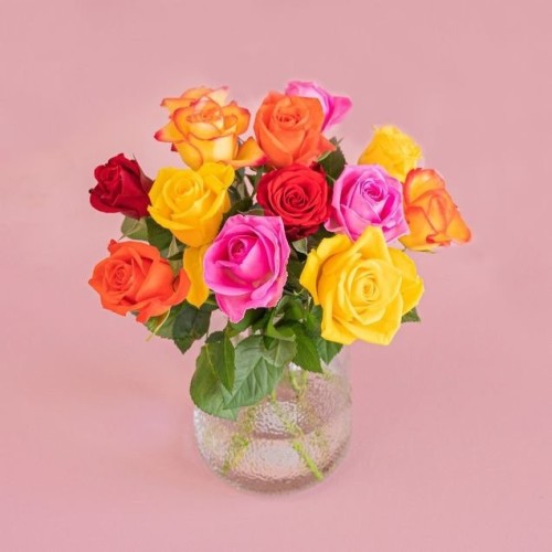 Letterbox Roses mixed